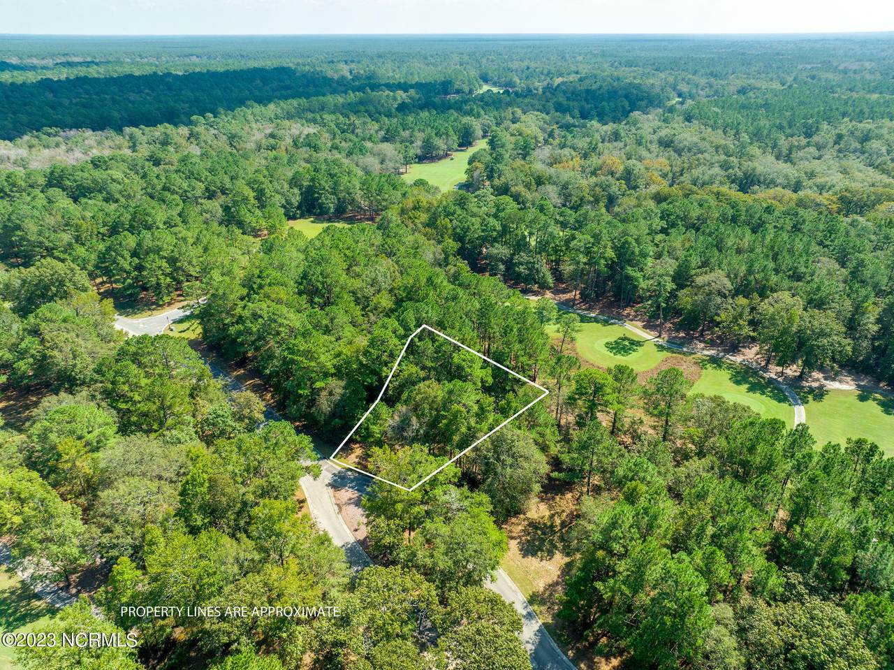 142 Red Berry Drive - Photo 1