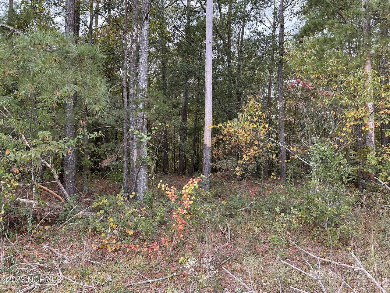Tract 1 Matilda Drive - Photo 1