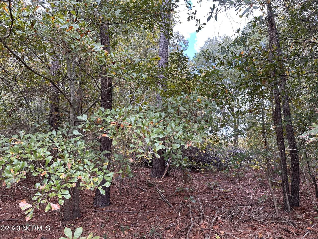 https://bt-photos.global.ssl.fastly.net/ncreg/1280_boomver_1_100411996-2.jpg