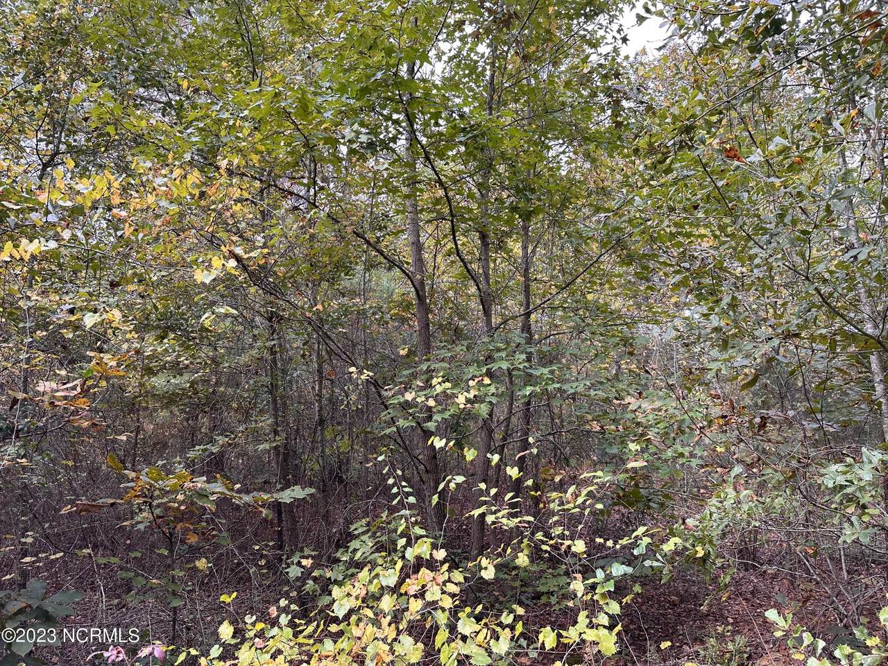 https://bt-photos.global.ssl.fastly.net/ncreg/1280_boomver_1_100411996-2.jpg