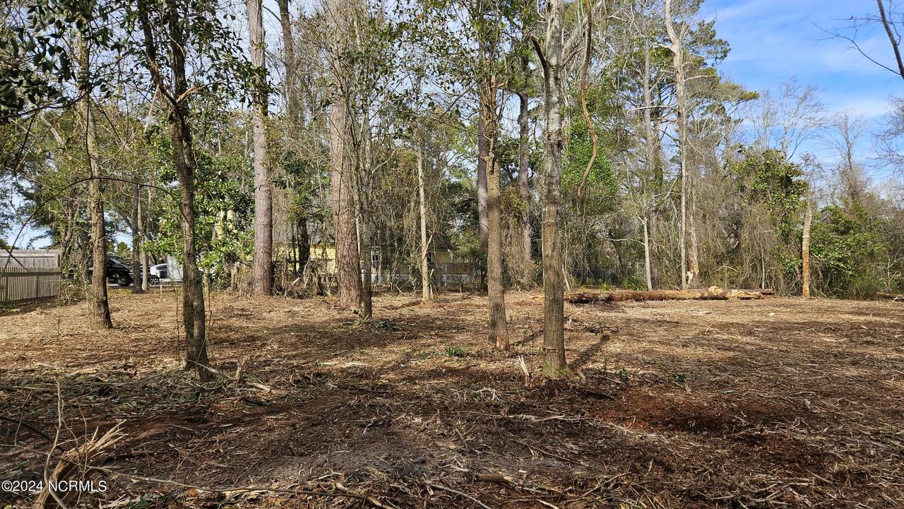 161 Holly Lane - Photo 1