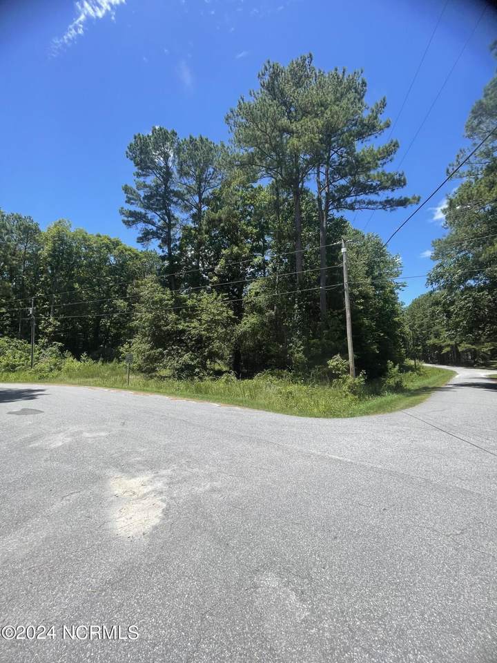 116 Hemlock Street - Photo 1