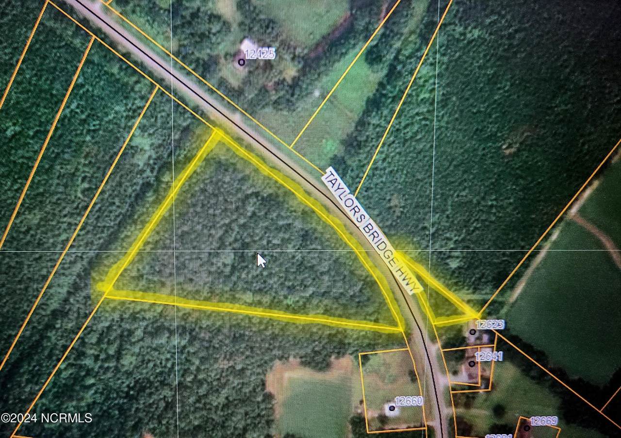 0 Taylors Bridge Highway - Photo 1