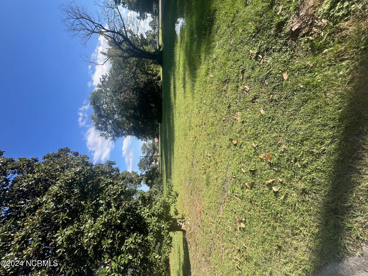 202 Hillsboro Street - Photo 1