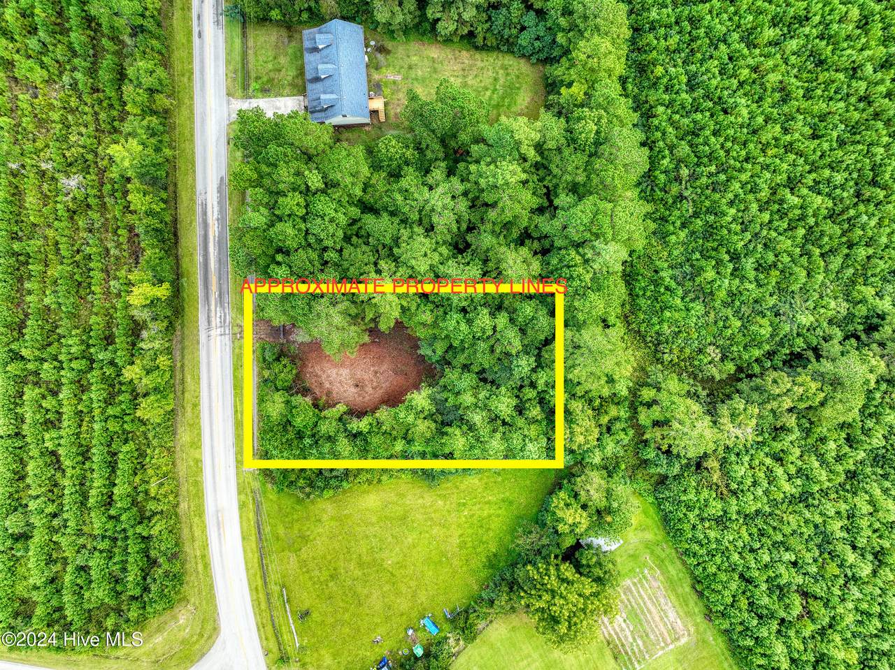 5200 Adams Creek Road - Photo 1