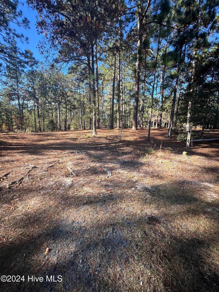 185 Bel Air Drive - Photo 1