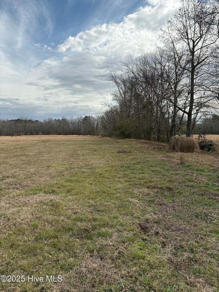 Tbd Near 455 Dothan Road - Photo 1