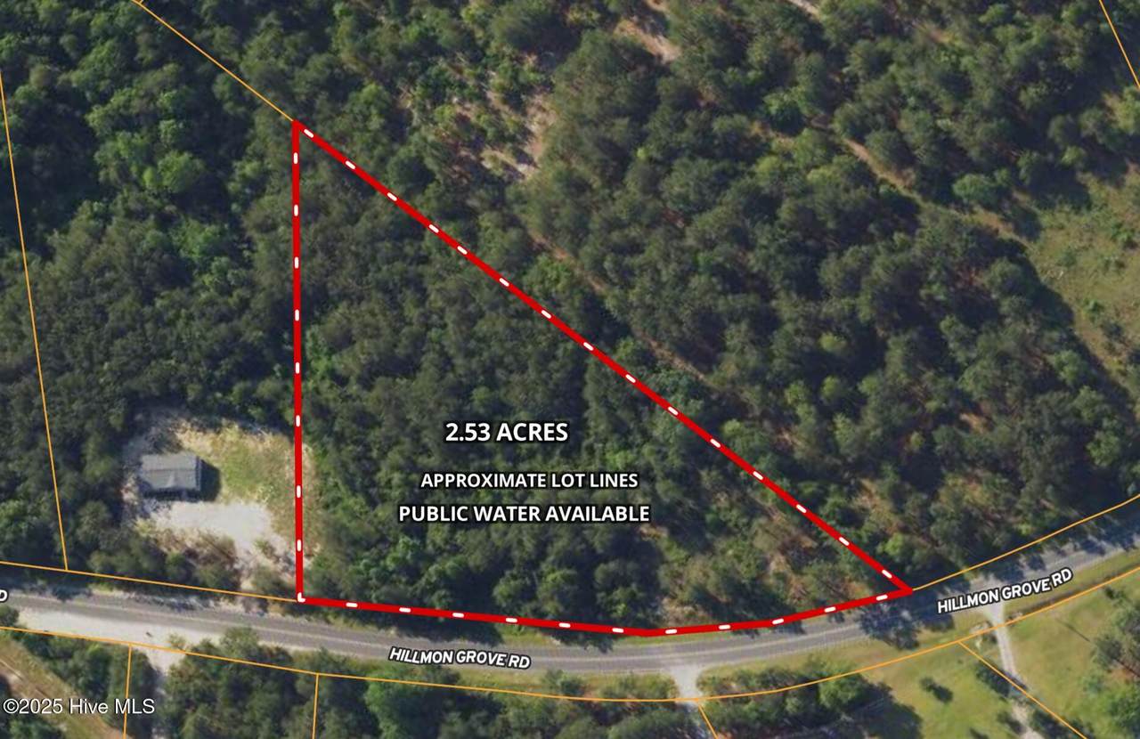 Tbd Hillmon Grove Road - Photo 1