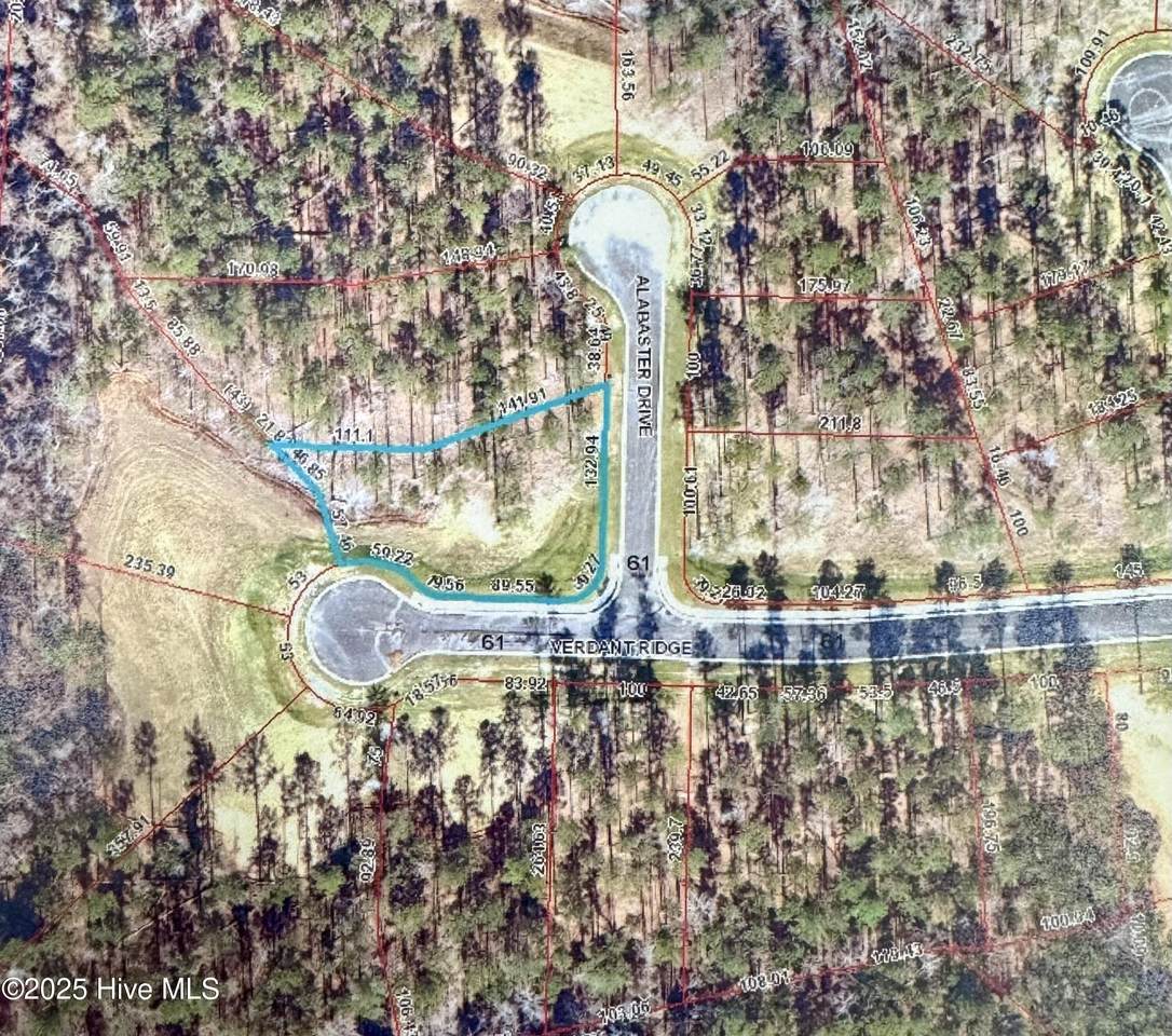 1001 Alabaster Drive - Photo 1