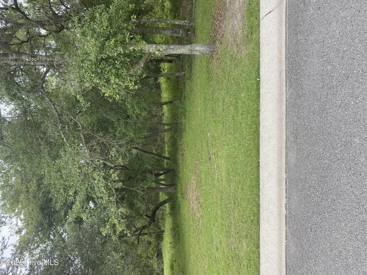 3718 Constance Avenue - Photo 1