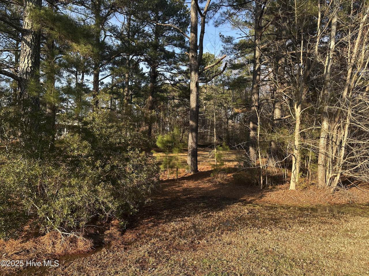 1152 Freer Drive - Photo 1