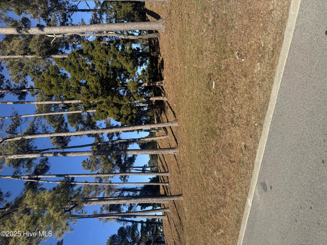 4016 Barnes Bluff Drive - Photo 1