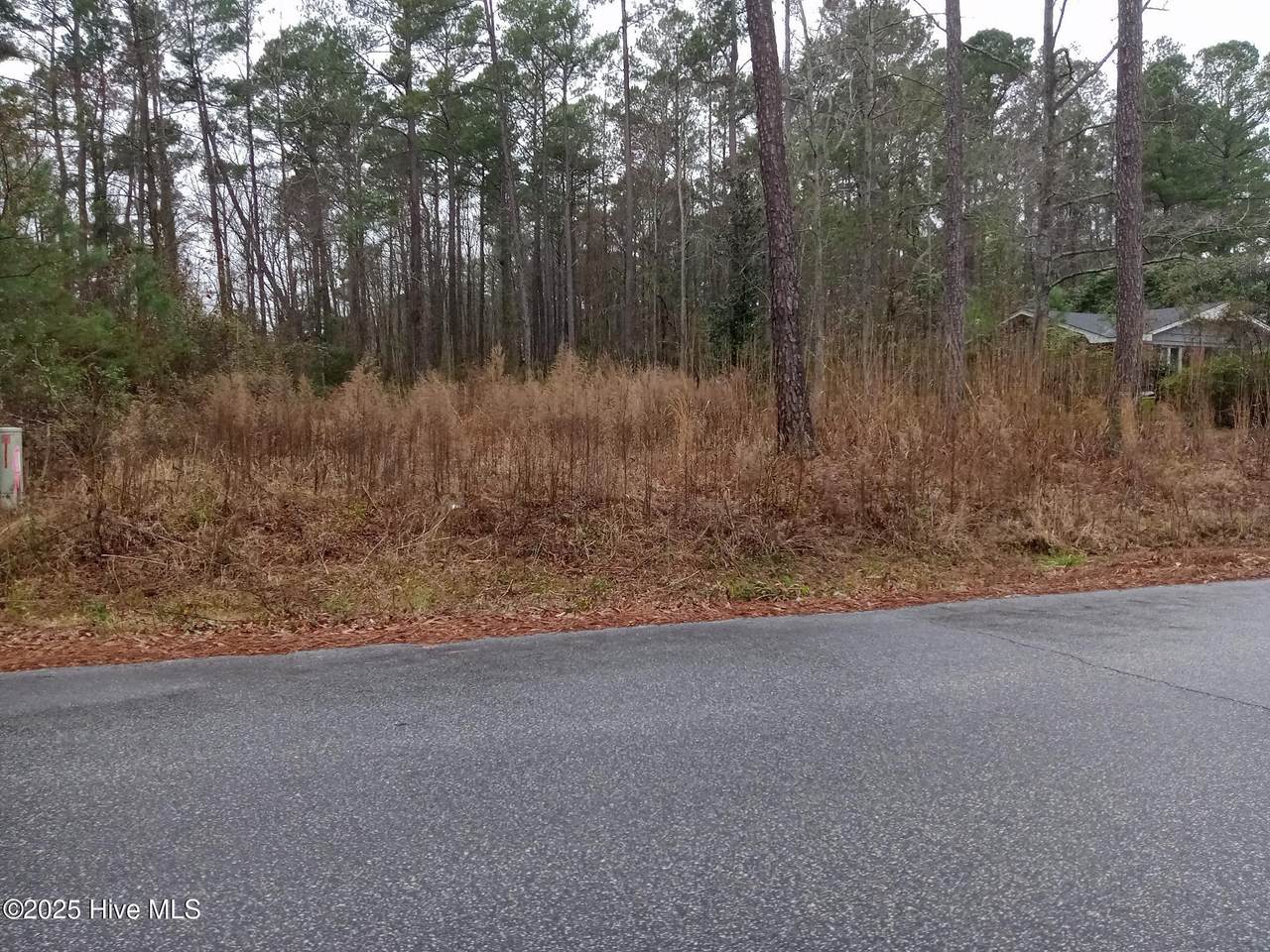 510 Oliver Street - Photo 1