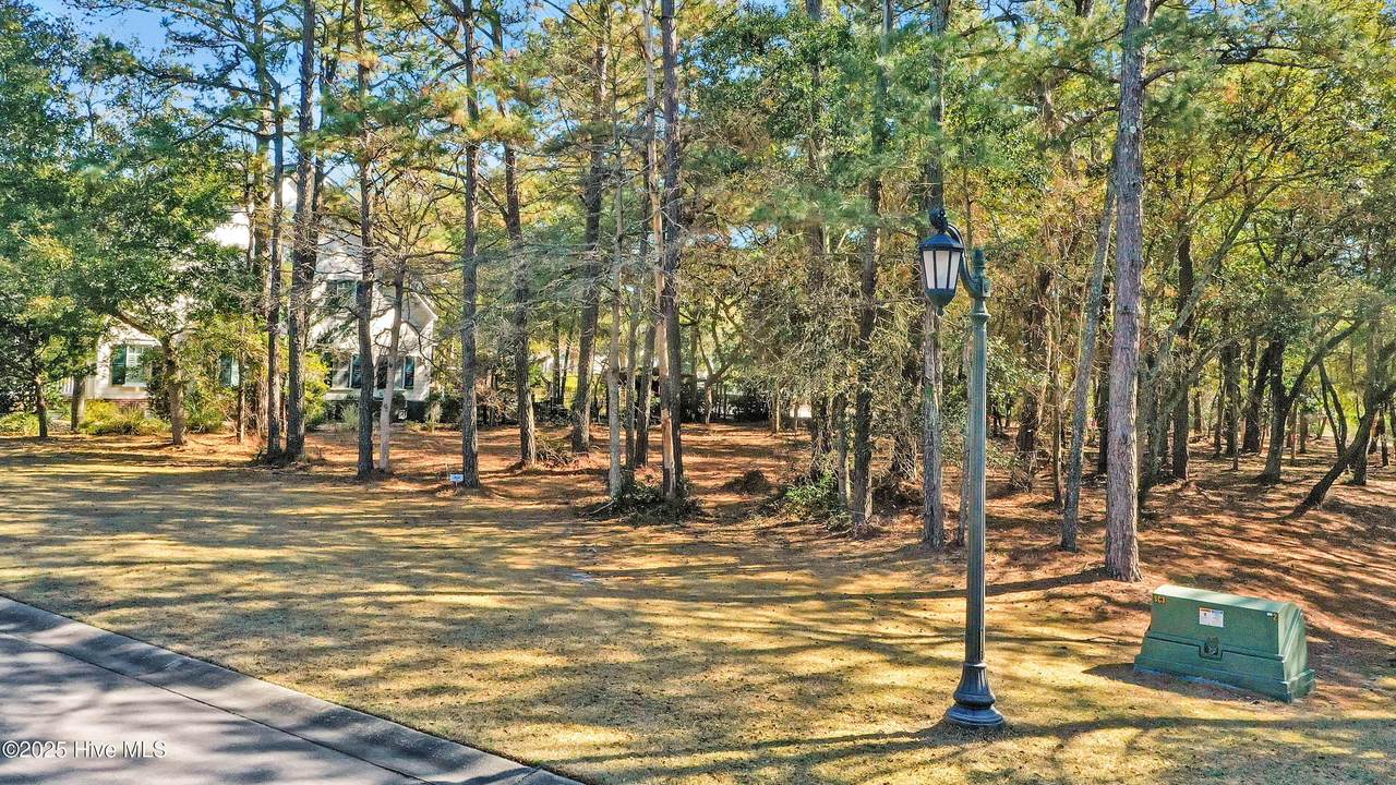 619 Versailles Boulevard - Photo 1