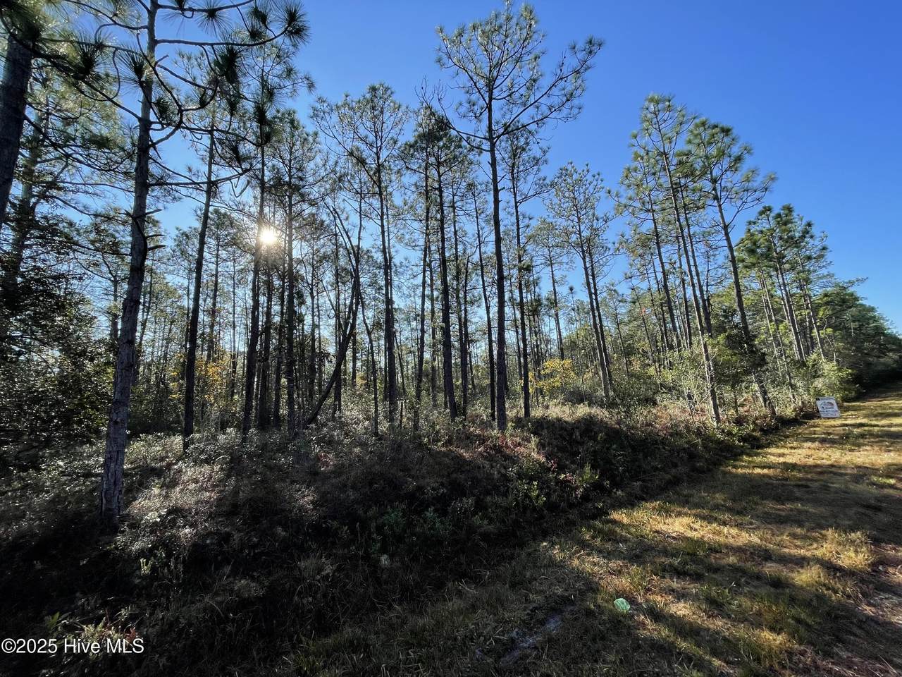 L-191 Audubon Road - Photo 1