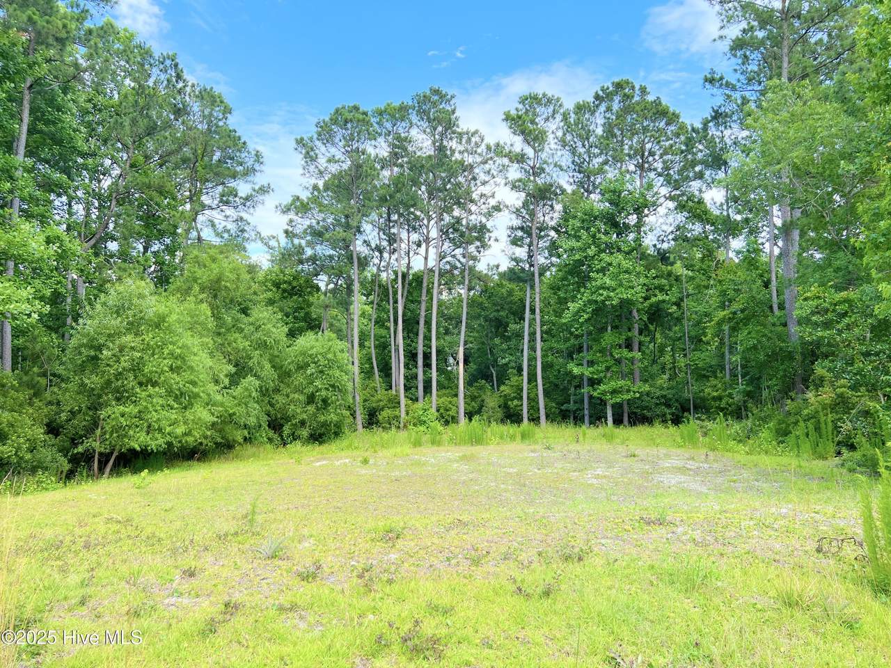 125 River Reach Drive - Photo 1