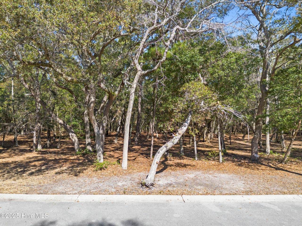 736 Beaufain Street - Photo 1