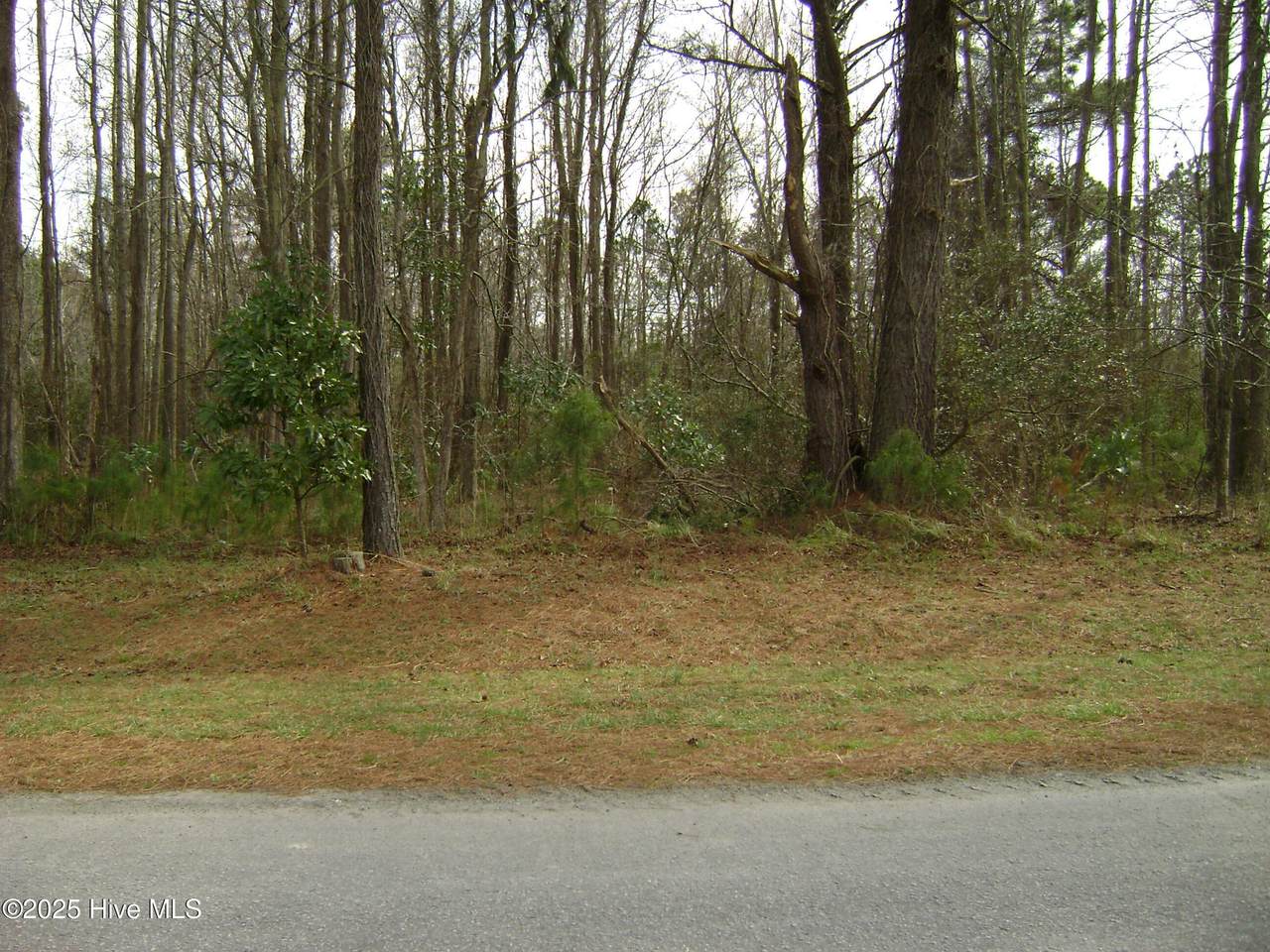 348 Country Estates - Photo 1