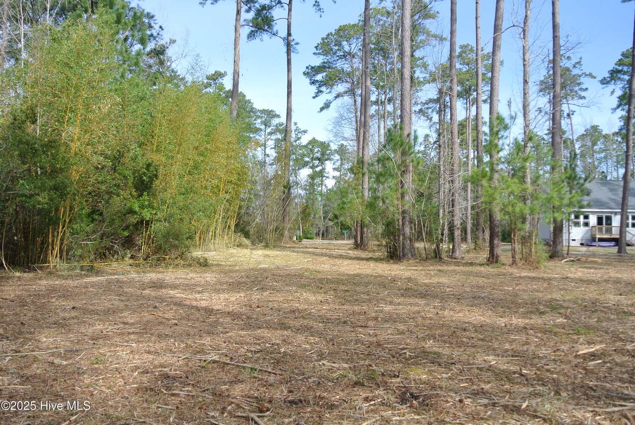 252 Jonaquins Drive - Photo 1