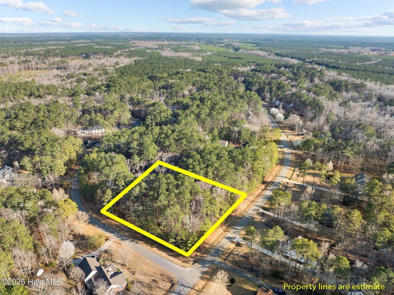 118 Wildflower Way - Photo 1