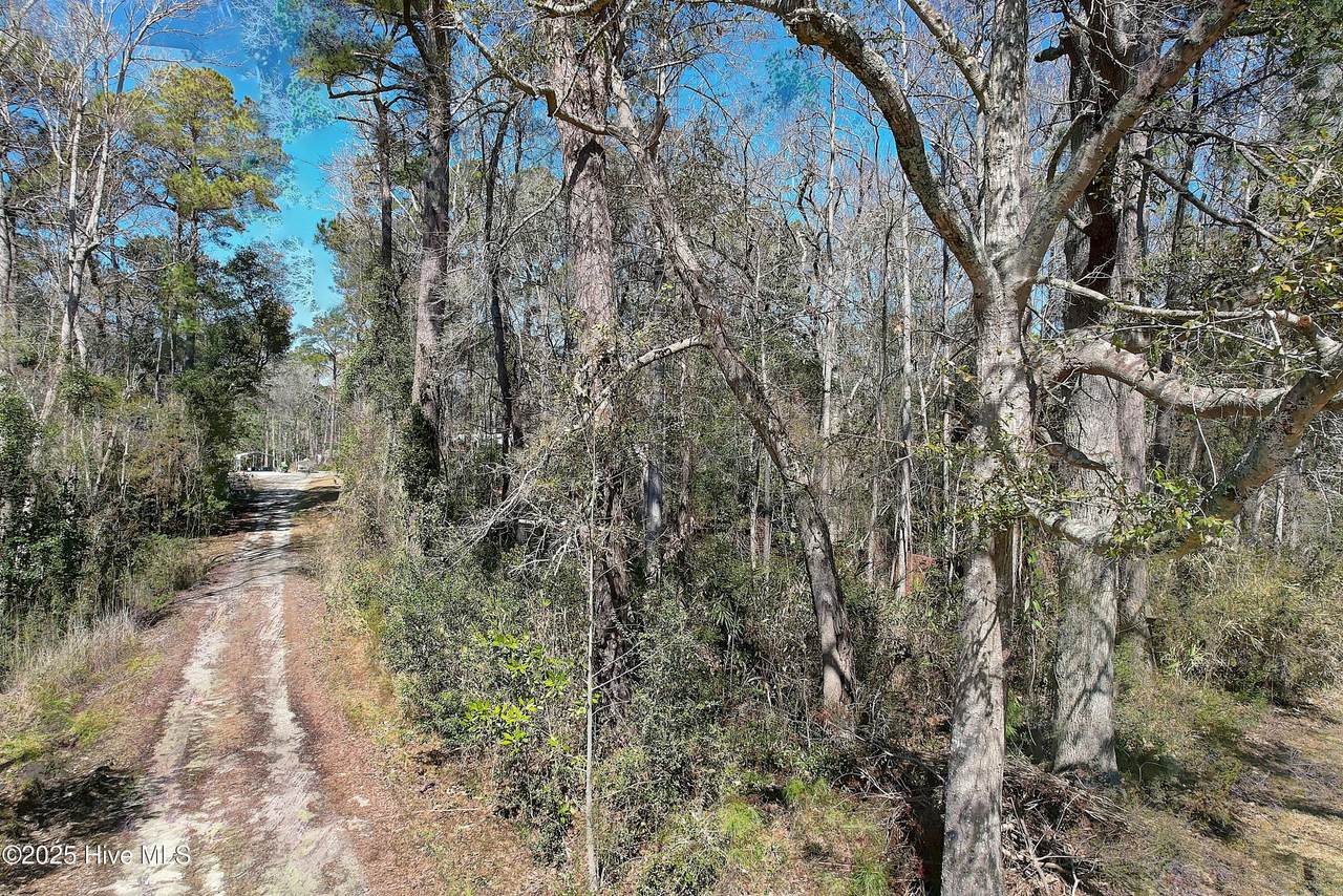 1580 Hollywood Street - Photo 1
