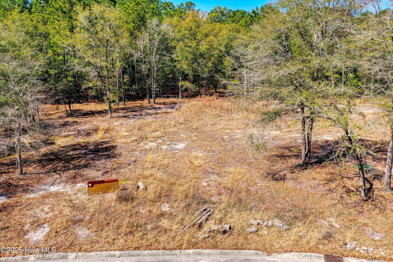 7223 Sloop Lane - Photo 1