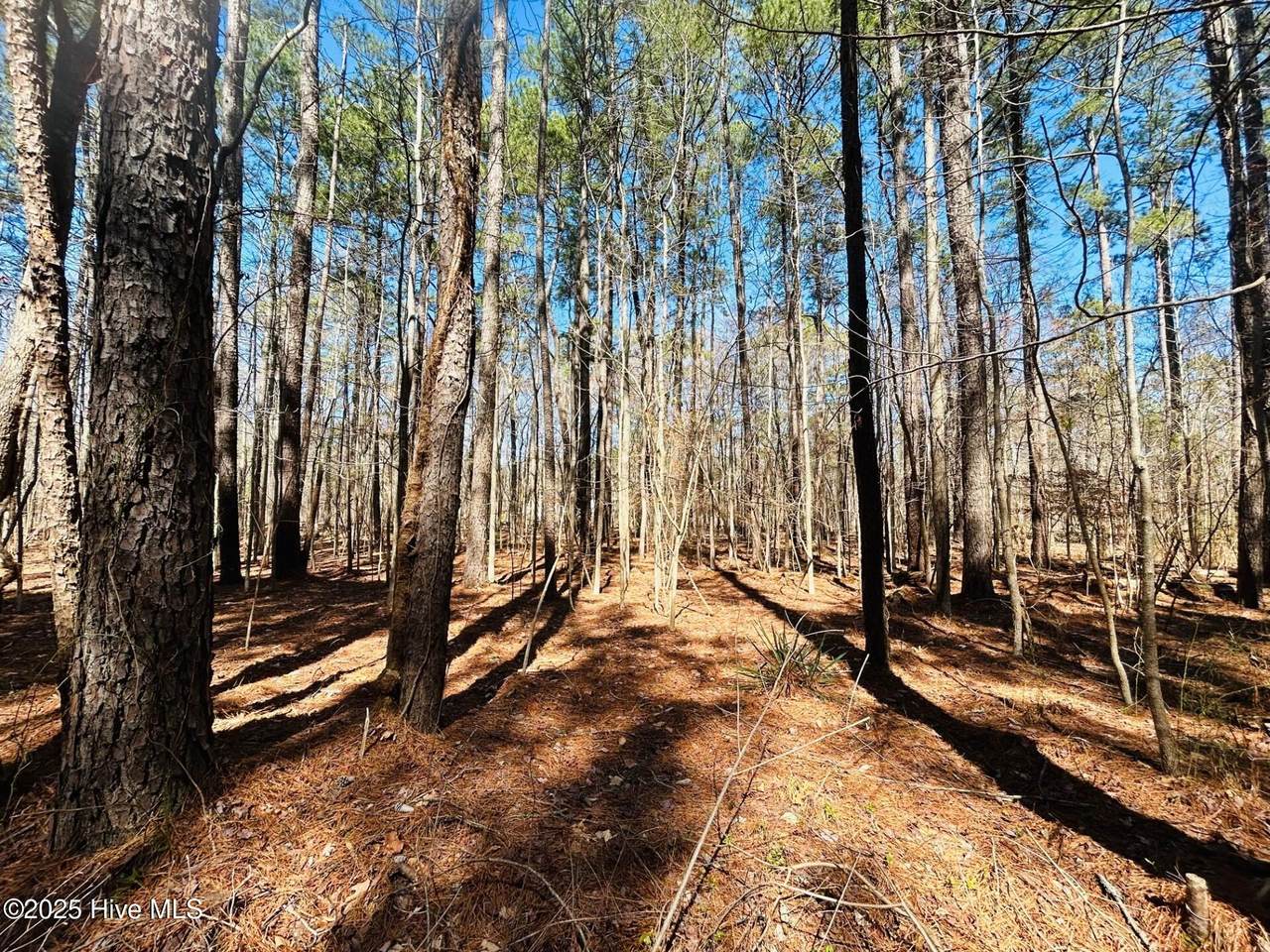 52-A Hunt Club Trail - Photo 1