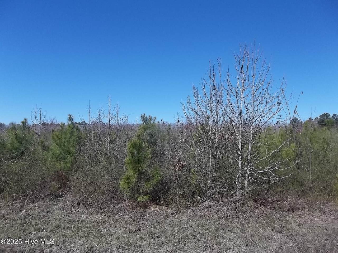 Lot #2 Boat Ramp Road - Photo 1