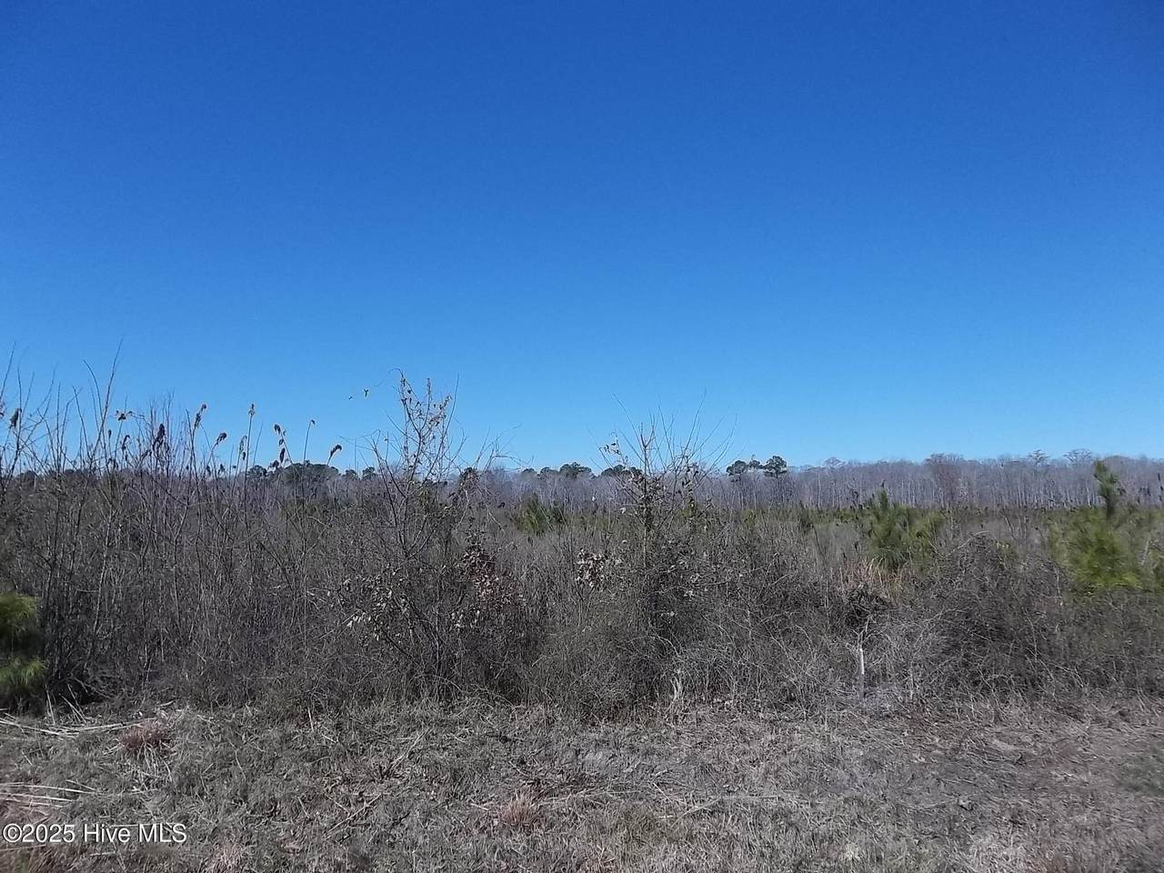 Lot #3 Boat Ramp Road - Photo 1