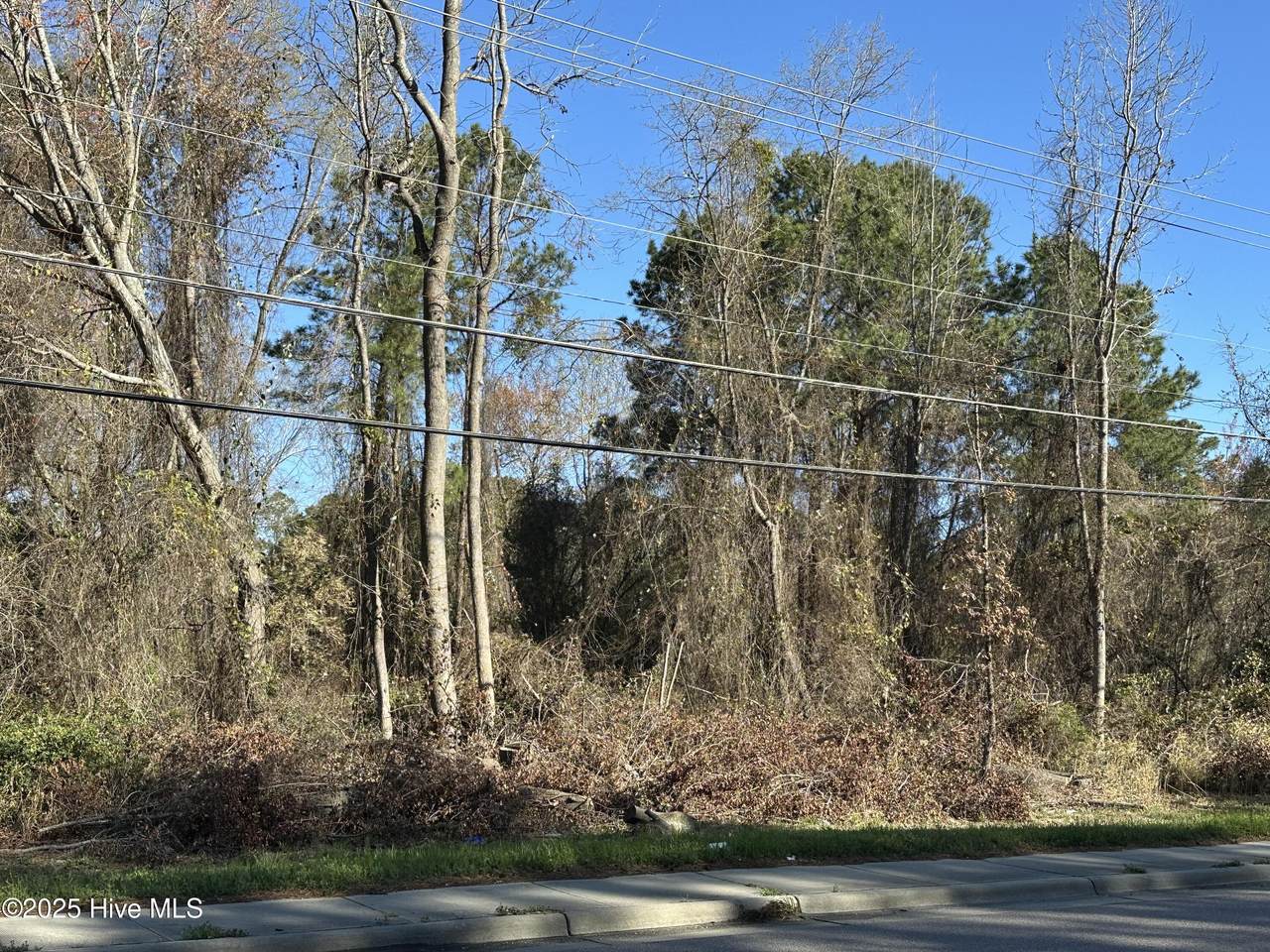 1507 Berkeley Boulevard - Photo 1