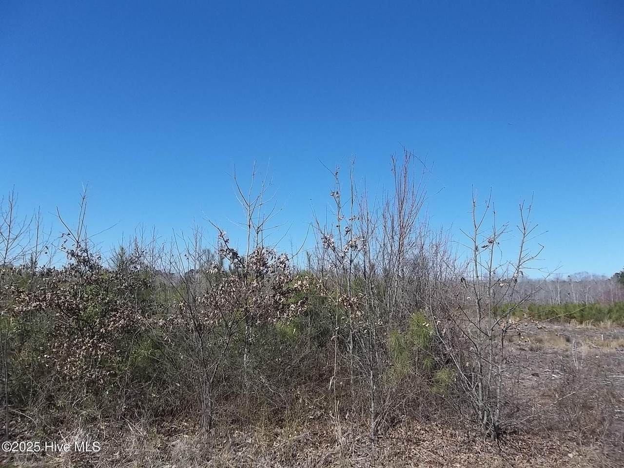 Lot# 6 Boat Ramp Road - Photo 1