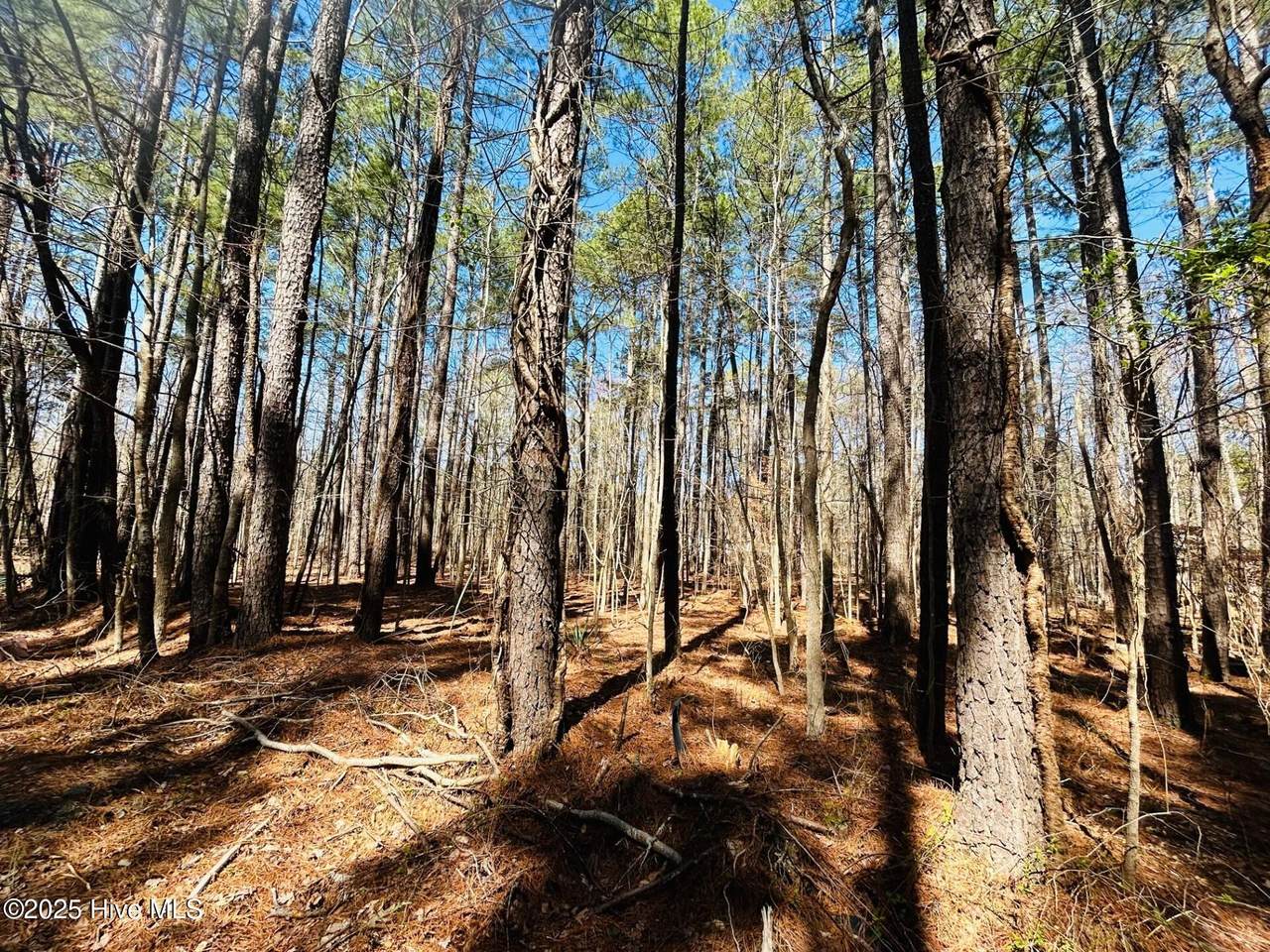 53 Hunt Club Trail - Photo 1
