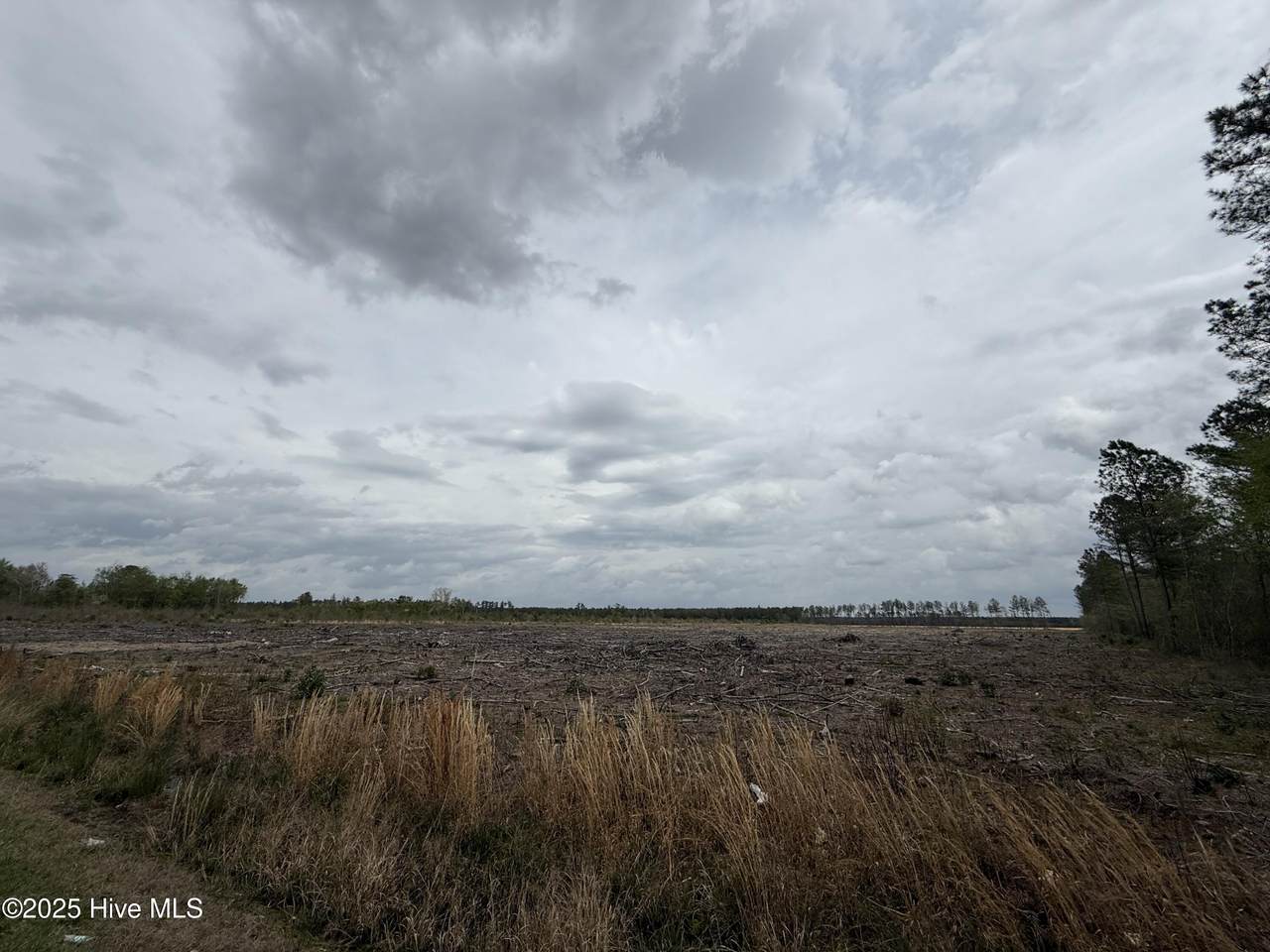 0 Roosevelt Spain Road - Photo 1