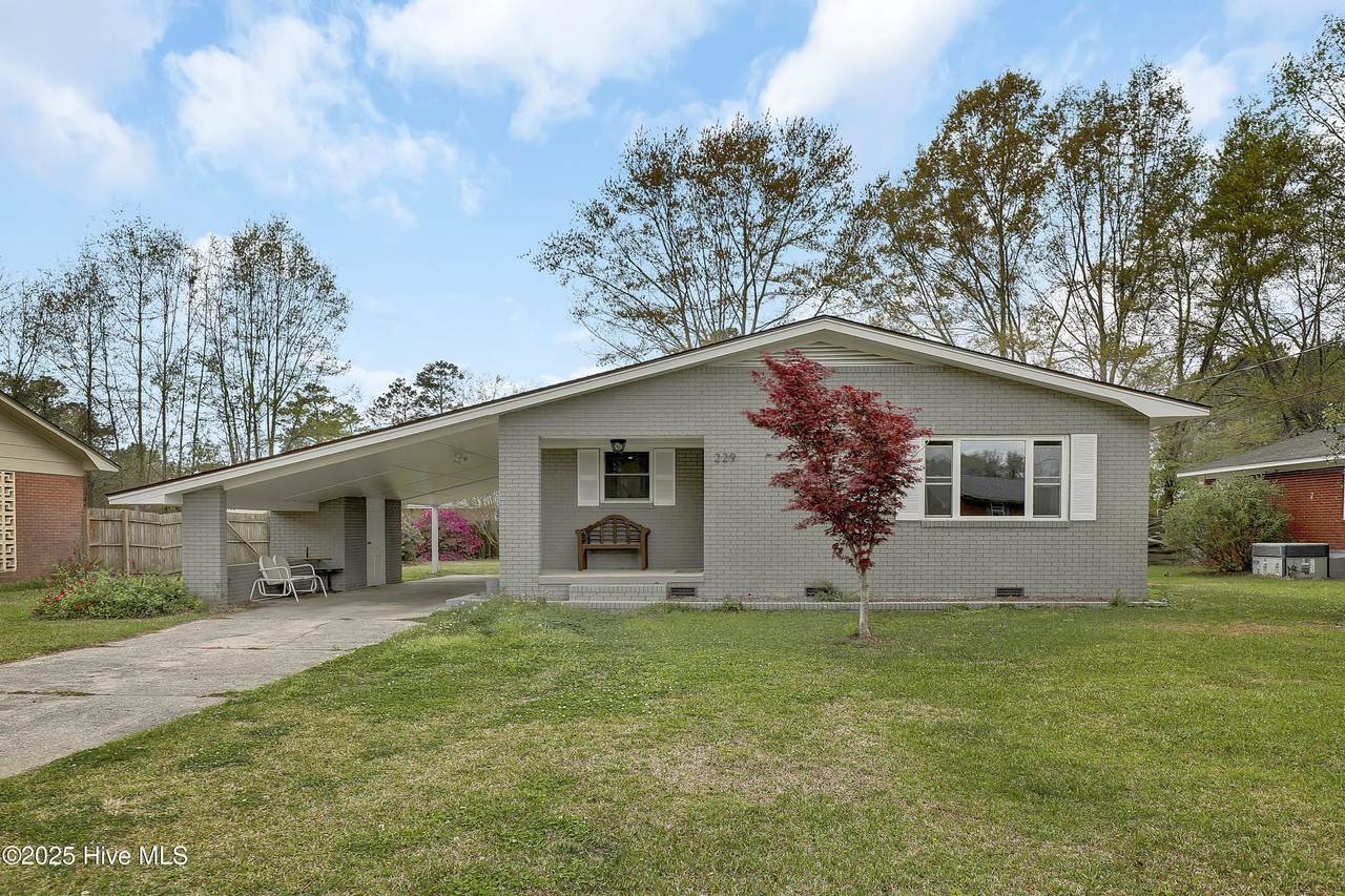 229 Oak Street - Photo 1