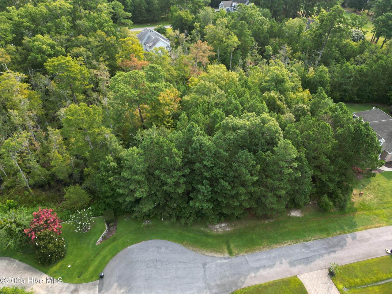 K11 Phelps Lake Court - Photo 1