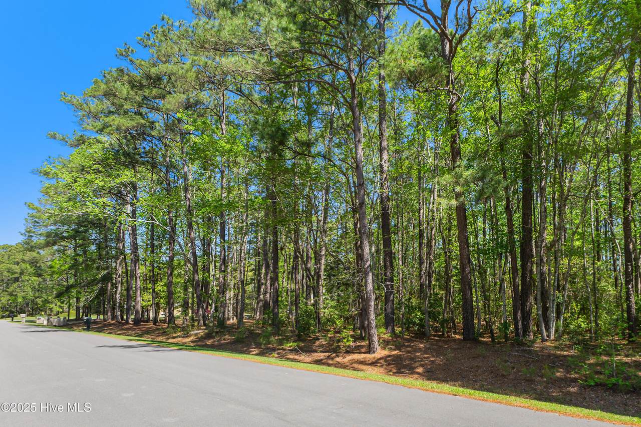 53 Sunfield Drive - Photo 1