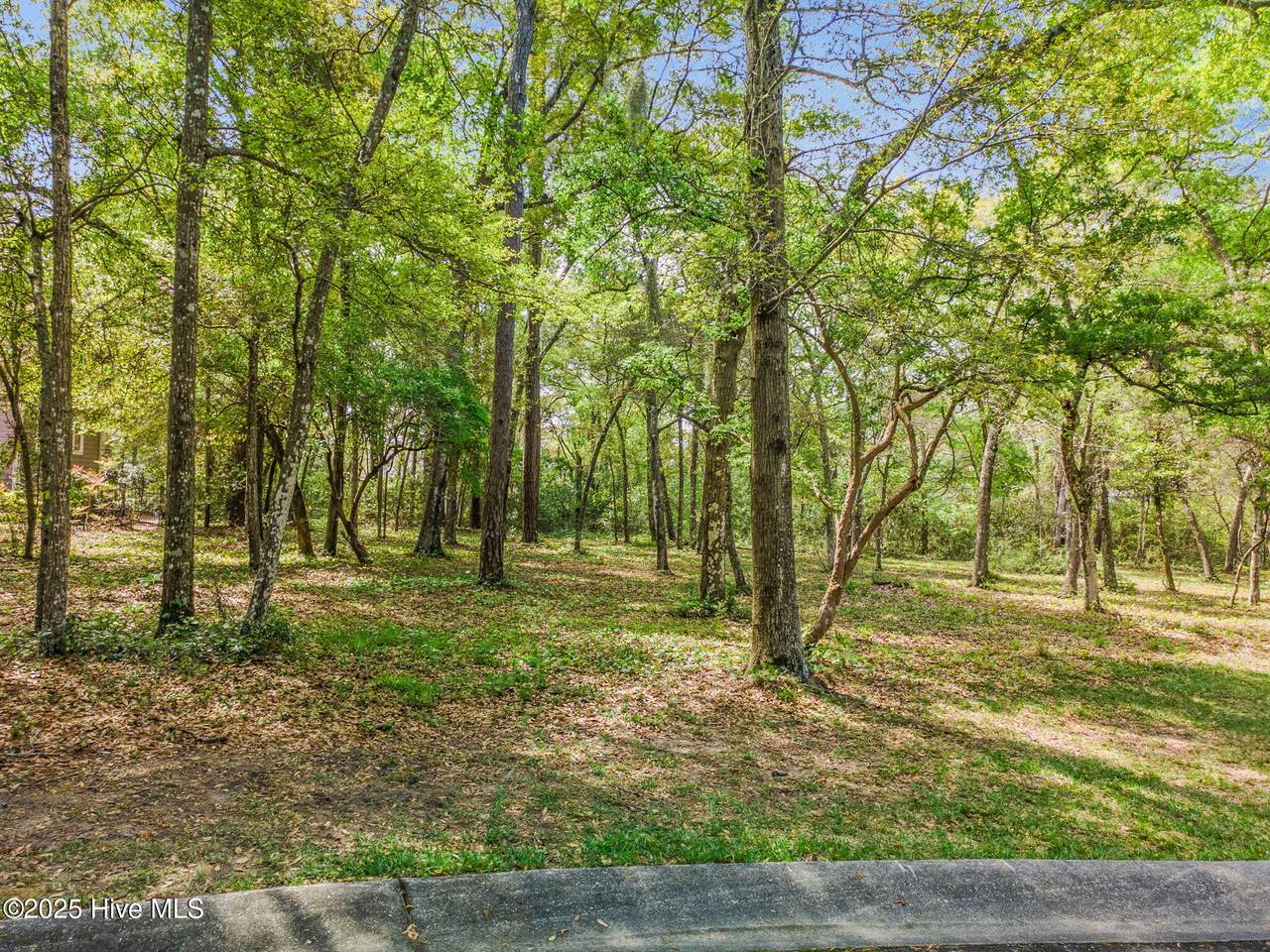 3509 Chalmette Drive - Photo 1
