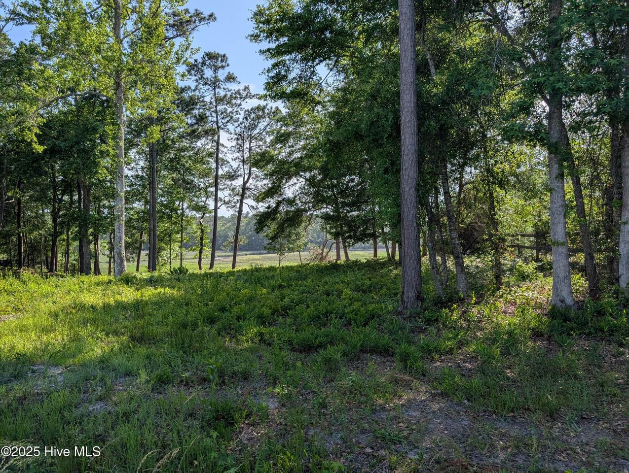 1709 Star Cross Drive - Photo 1