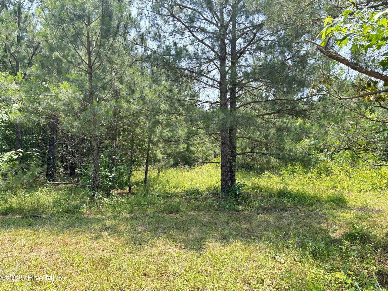 Lot 24 Buckhorn Church Road - Photo 1