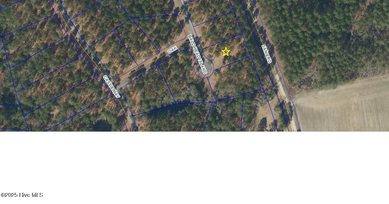 23 Bald Head Island Court - Photo 1