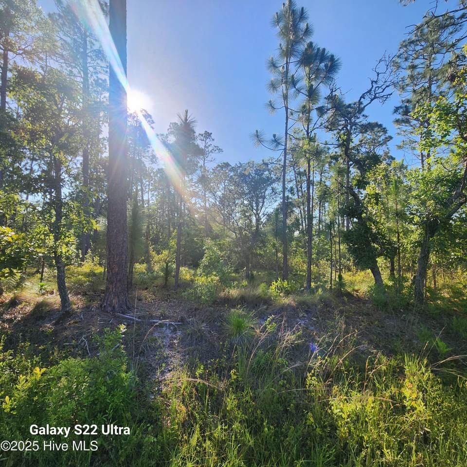 2021 Boiling Spring Road - Photo 1