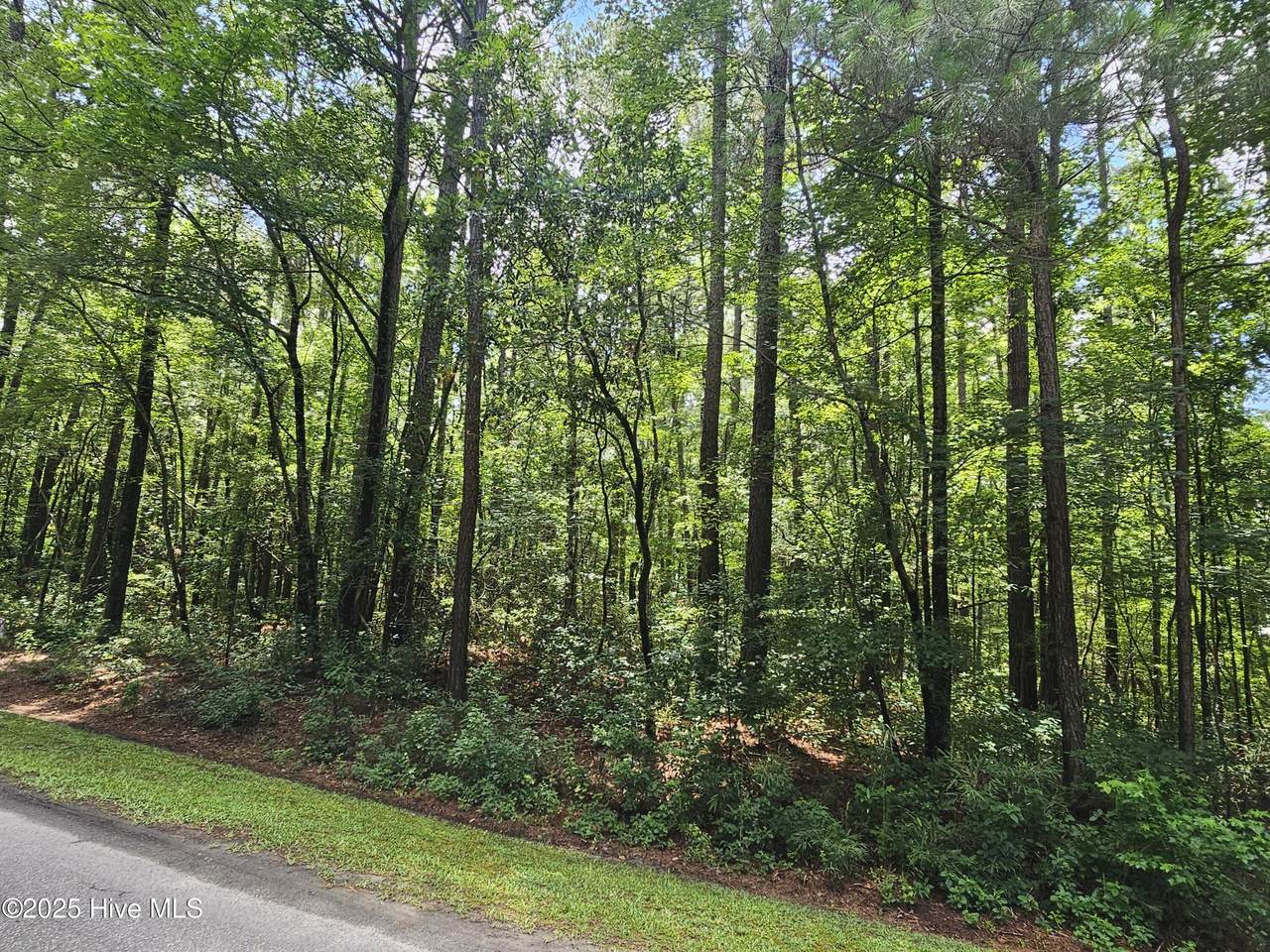 1429 Forest Acres Drive - Photo 1