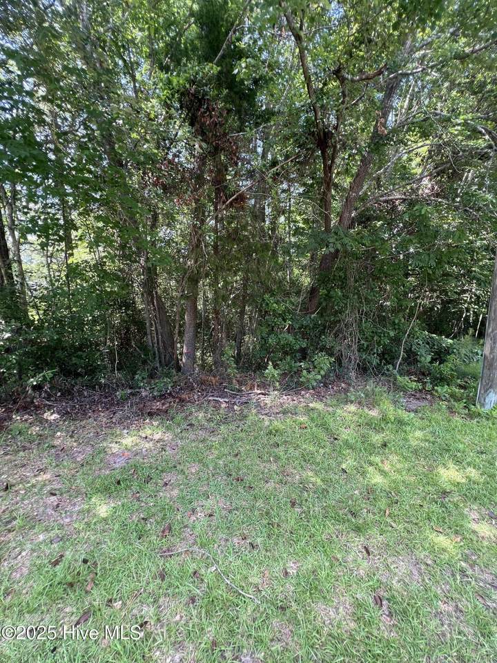 301 Spring Lake Drive - Photo 1