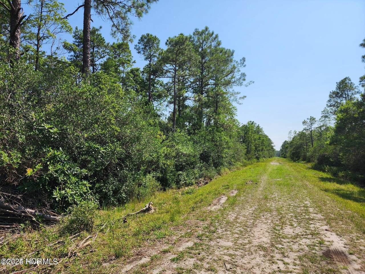 1550 Robin Road - Photo 1