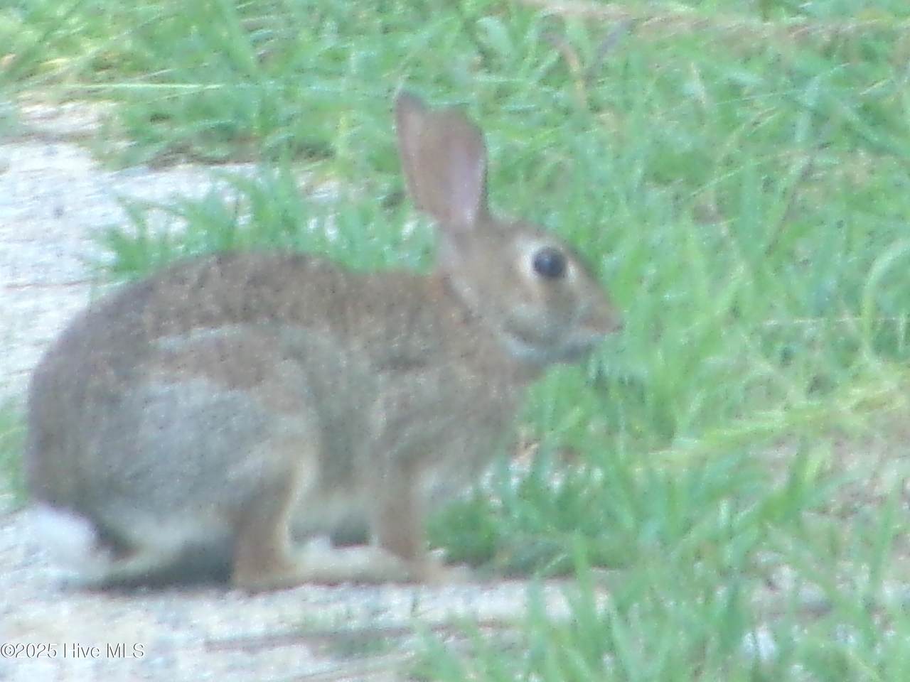 Off River Road - Photo 1