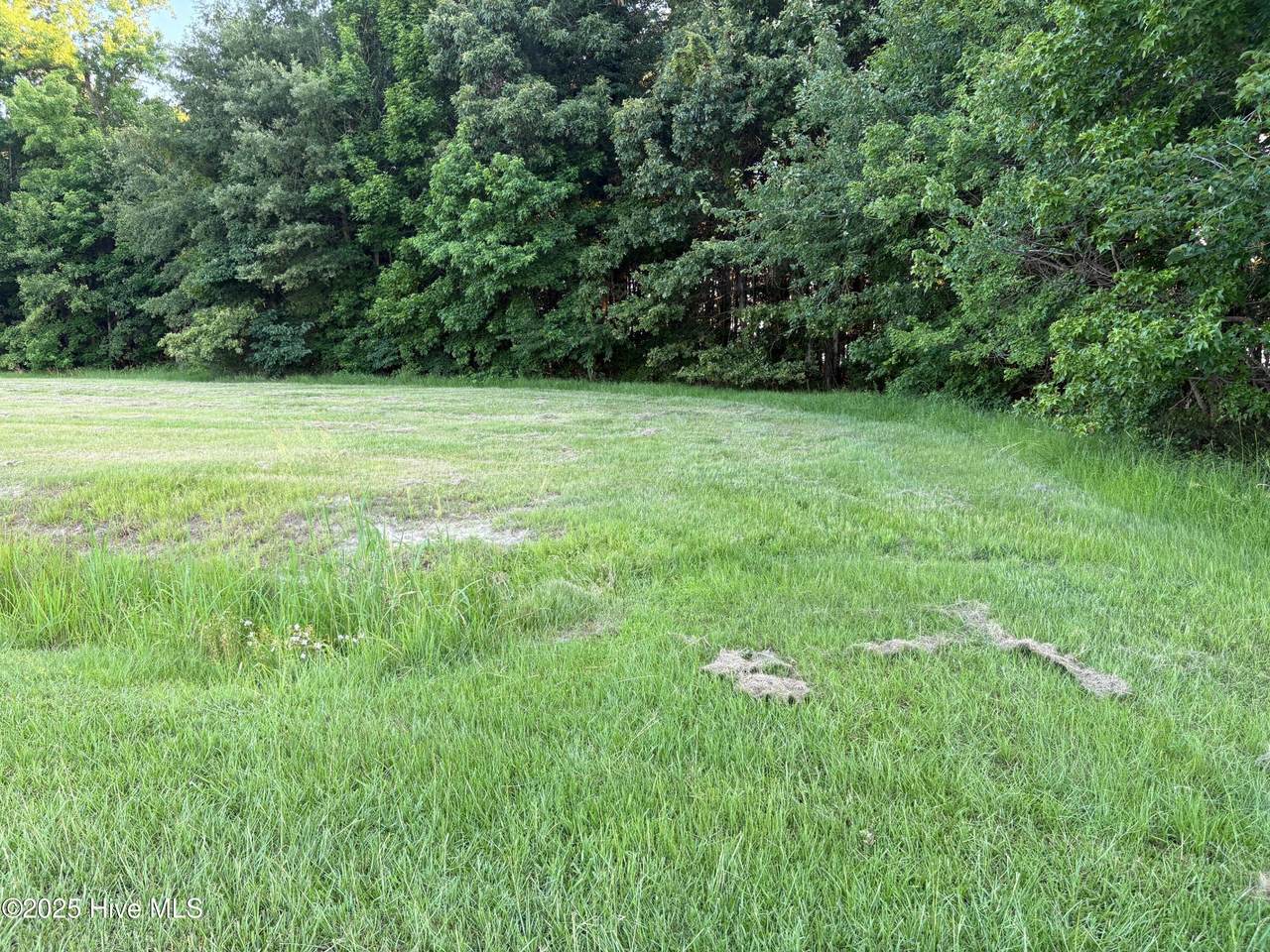 489 Pointe Vista Drive - Photo 1