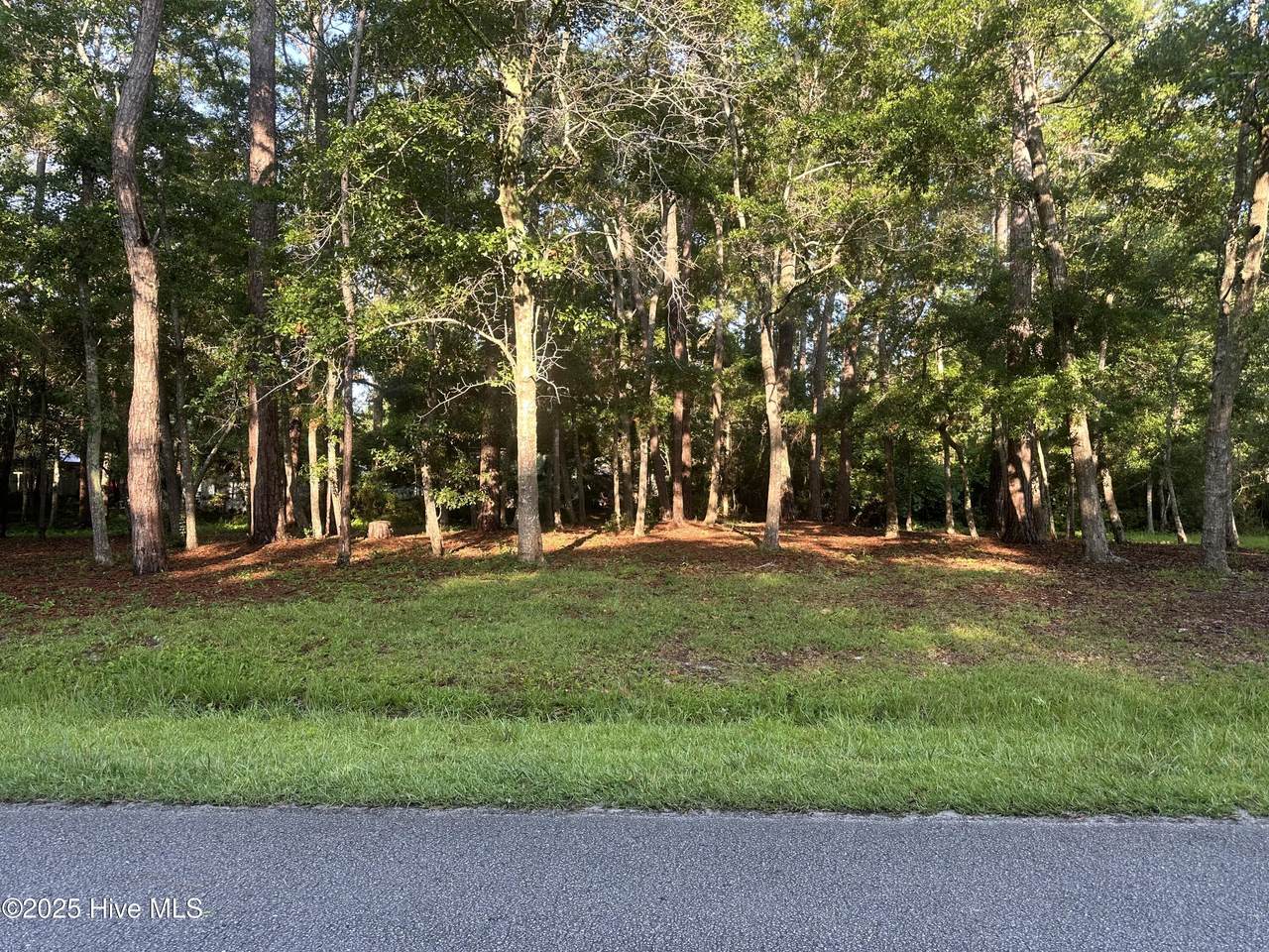 1784 Oak Street - Photo 1