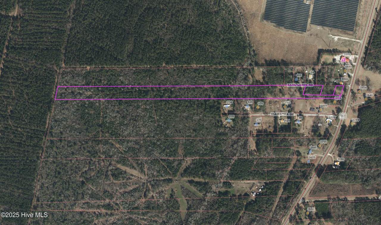 117 Highway Off & Earl Lewis Road - Photo 1