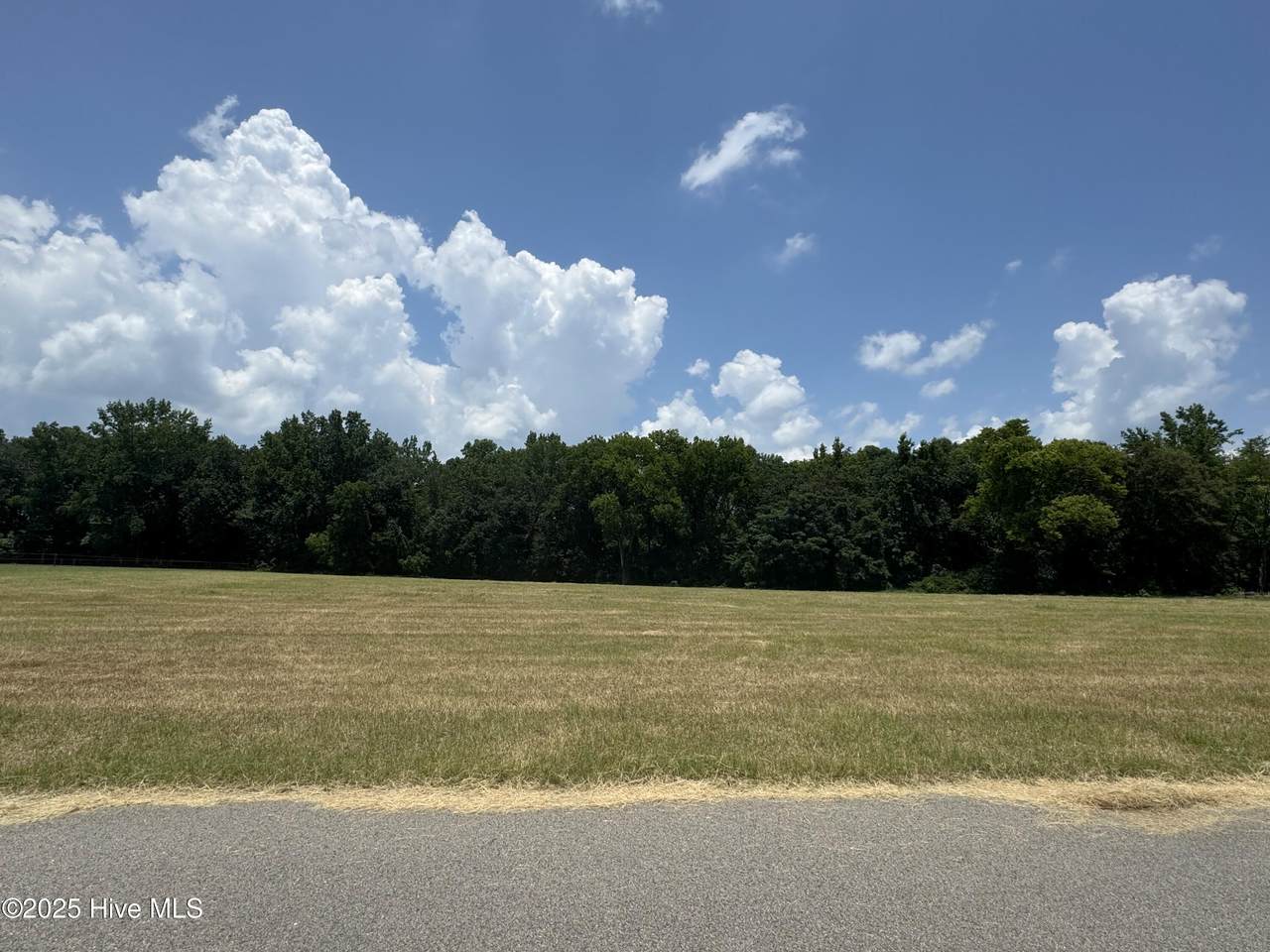 485 Perkins Road Road - Photo 1