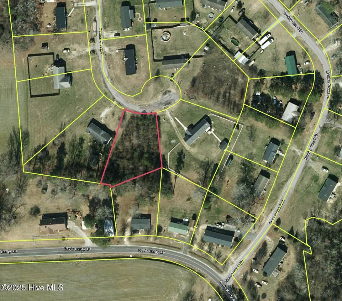 0 Manley Creek Drive - Photo 1
